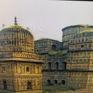 Meet your Posher, Lucy